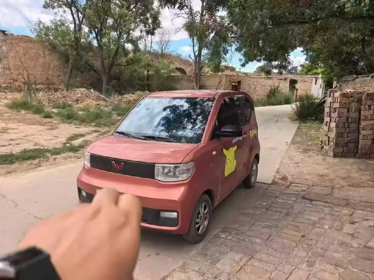 2020 WuLing HongGuang MINI EV BEV 9.3KWH