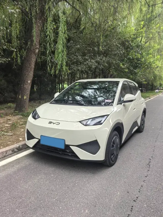 2025 BYD Seagull BEV 30.08KWH