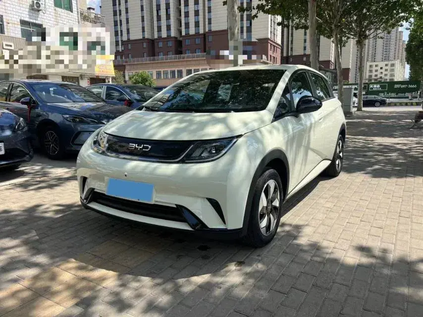 2025 BYD Dolphin BEV 44.928KWH