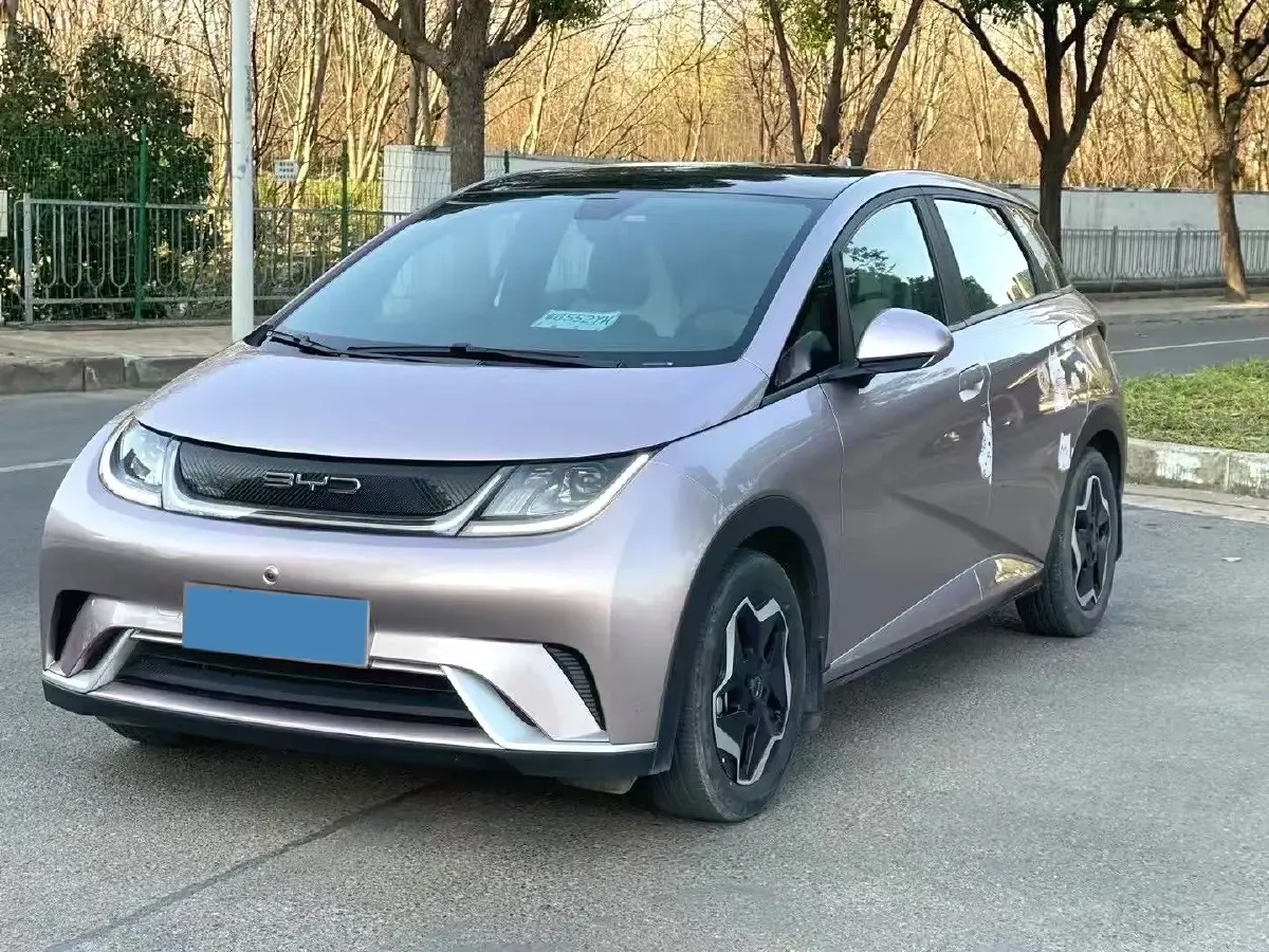 2021 BYD Dolphin BEV 44.9KWH