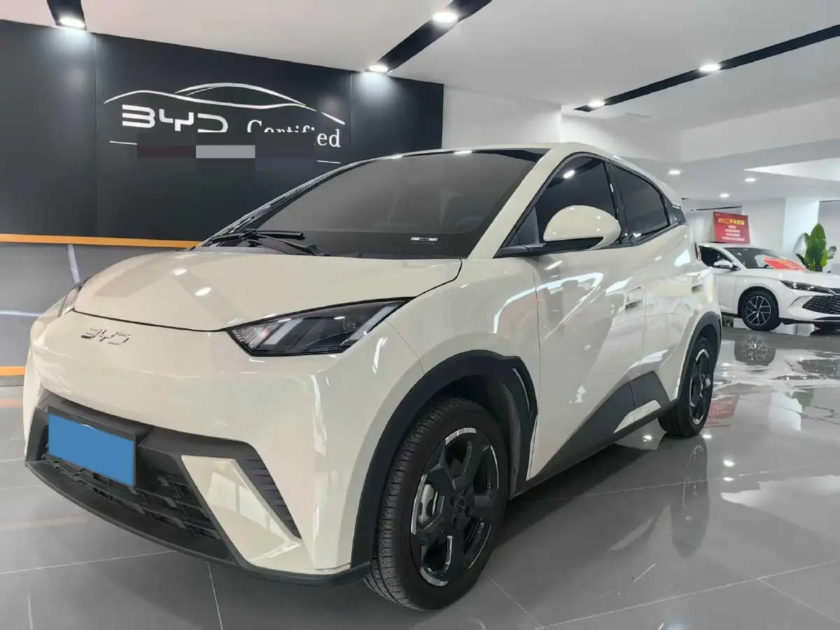 2024 BYD Seagull BEV 30.08KWH