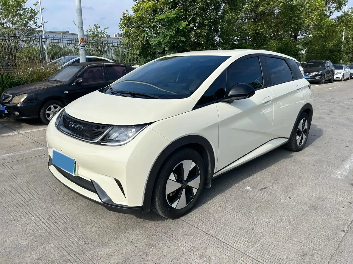 2023 BYD Dolphin BEV 44.928KWH