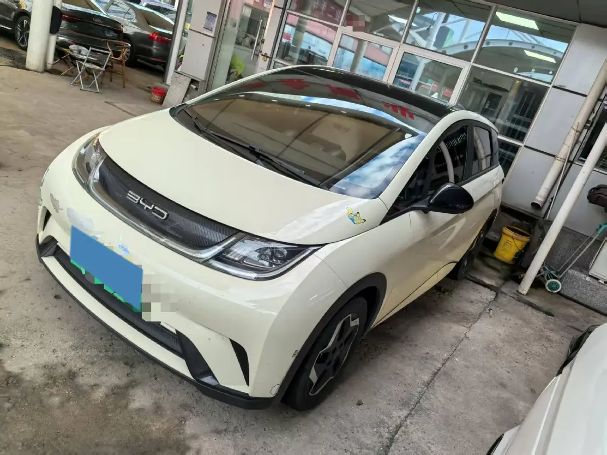 2021 BYD Dolphin BEV 44.9KWH