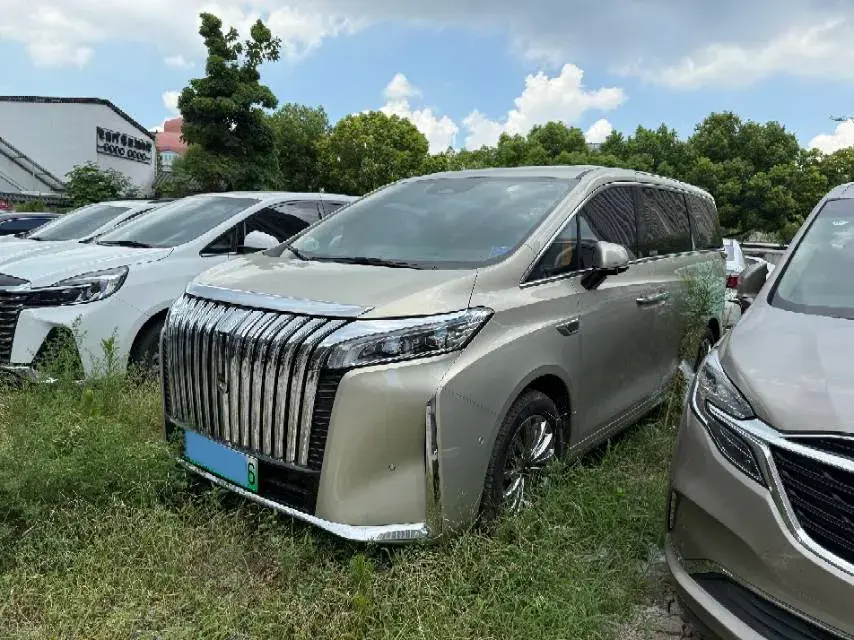 2024 HongQi HQ9 2.0T 163HP L4 1DHT PHEV 20.14KWH