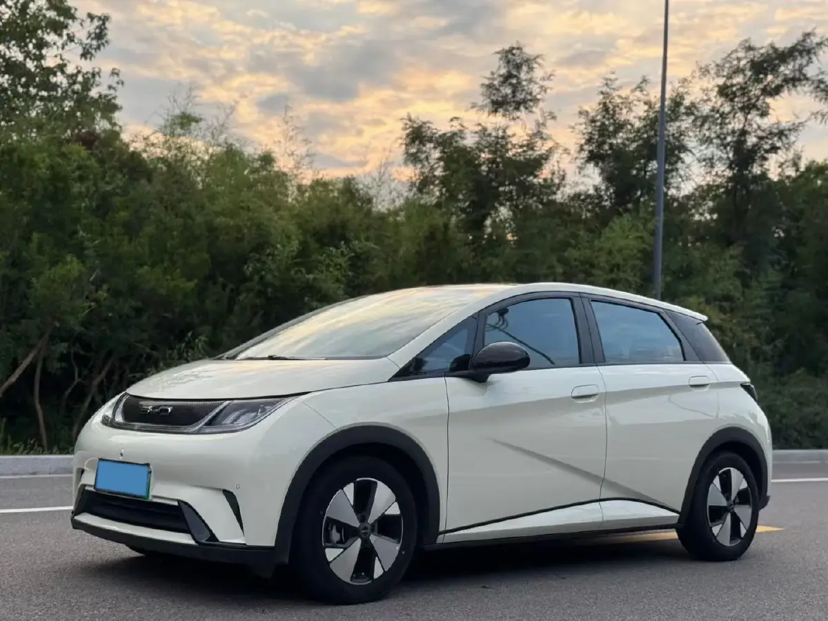 2023 BYD Dolphin BEV 44.928KWH