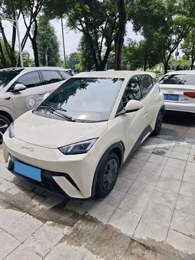 2025 BYD Seagull BEV 30.08KWH