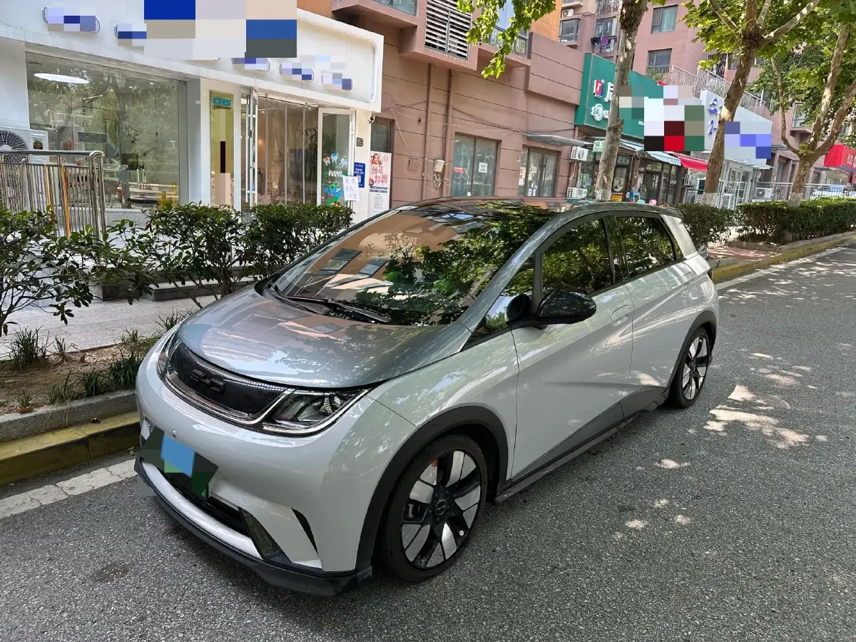 2021 BYD Dolphin BEV 44.9KWH