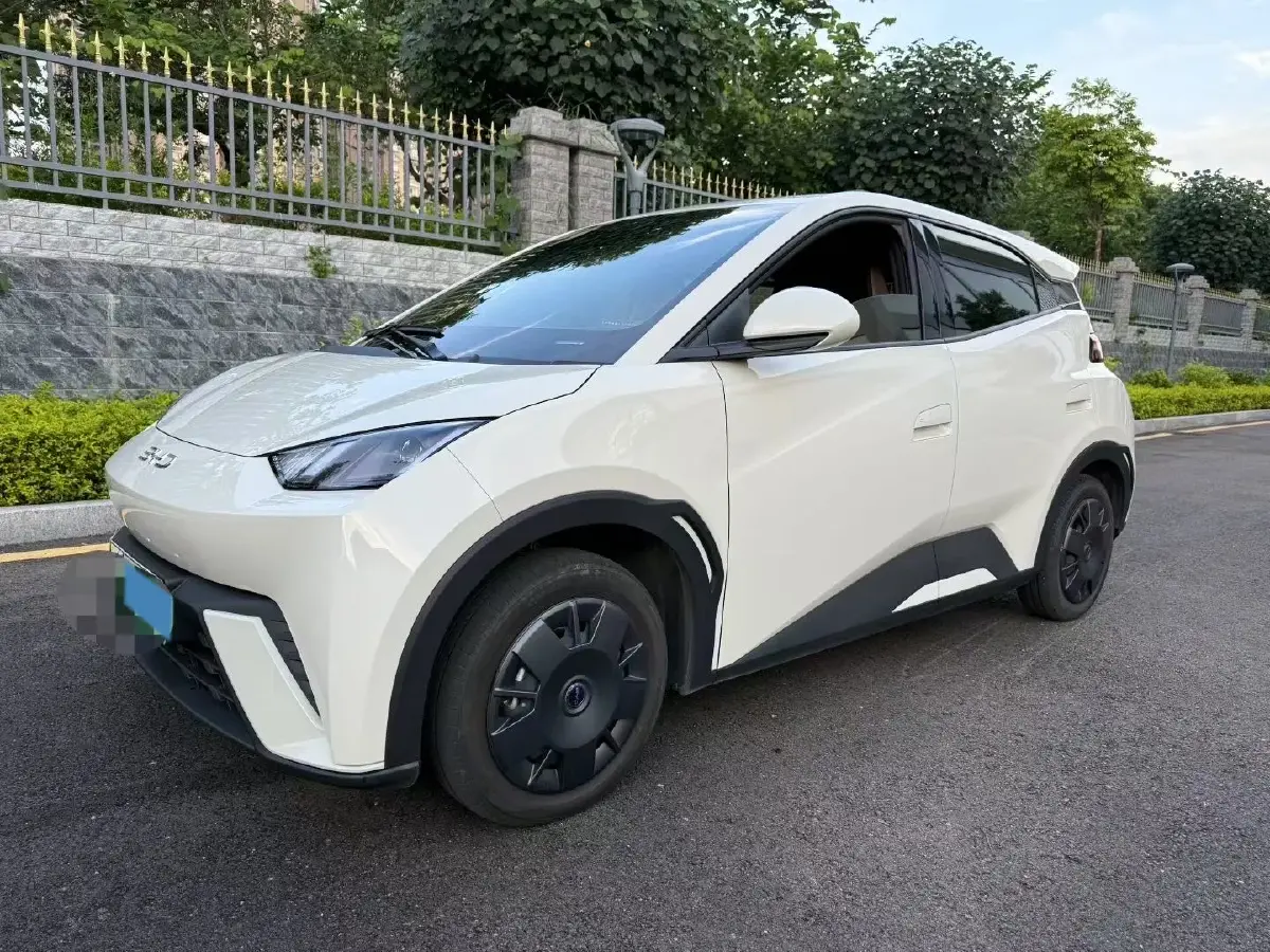 2024 BYD Seagull BEV 30.08KWH