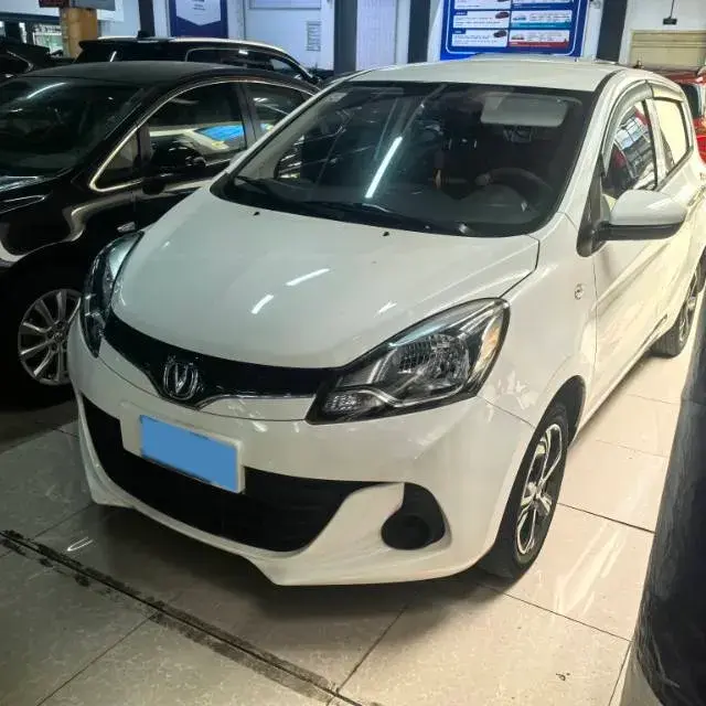 2021 ChangAn BenBen E-Star BEV 31.95KWH