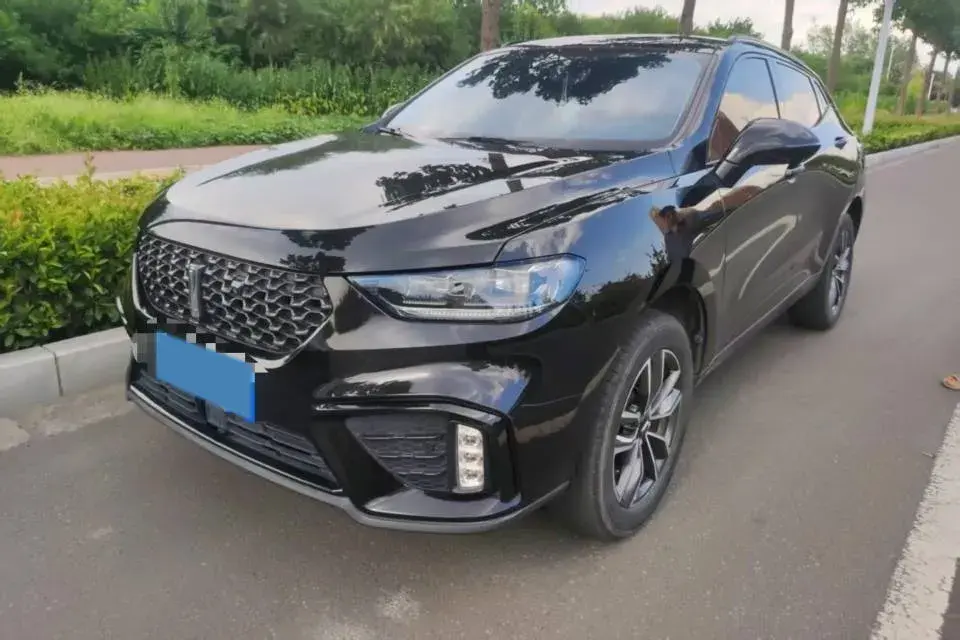 2020 WEY VV5 1.5T 171HP L4 7DCT