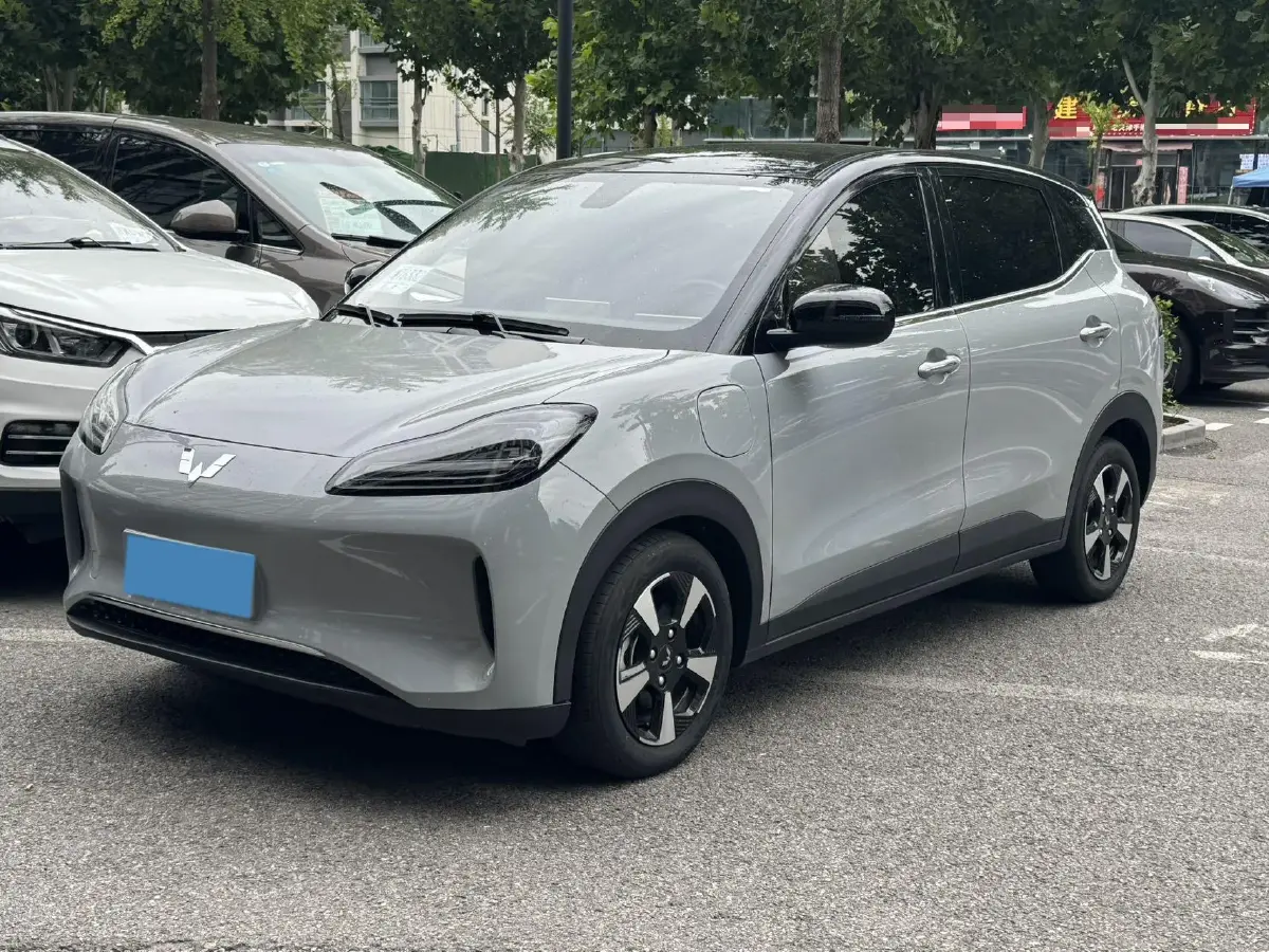 2024 WuLing BinGuoPLUS BEV 50.6KWH