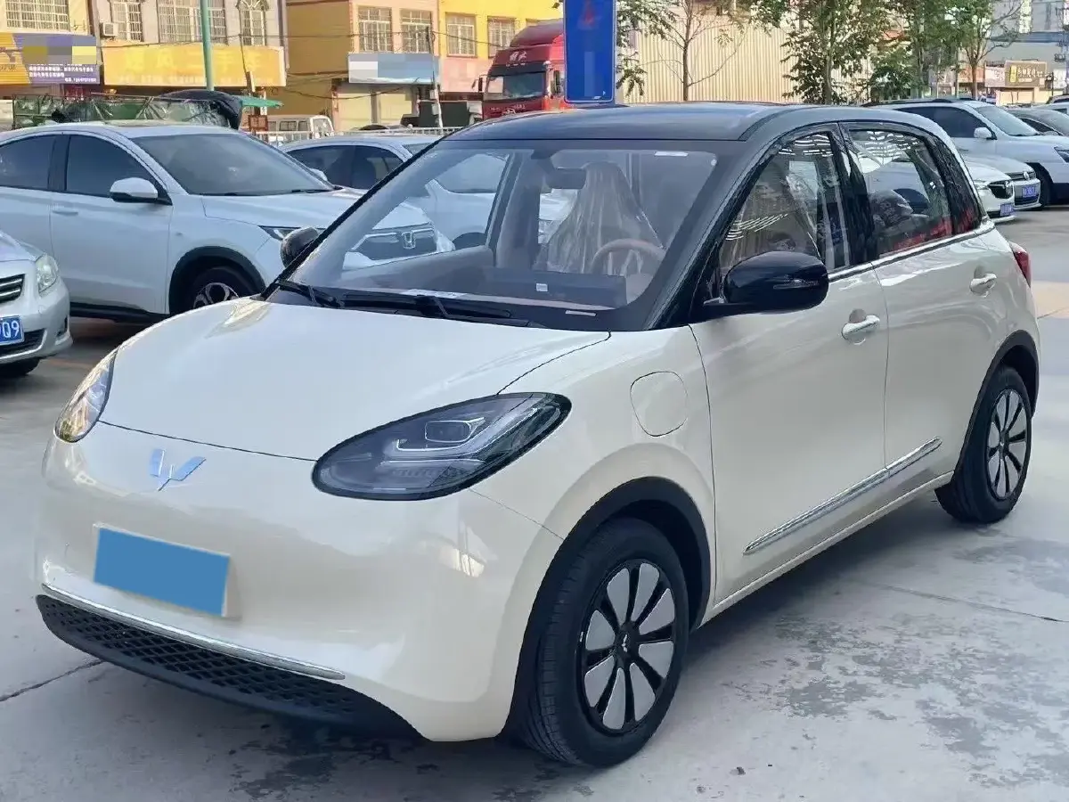 2025 WuLing BinGuo BEV