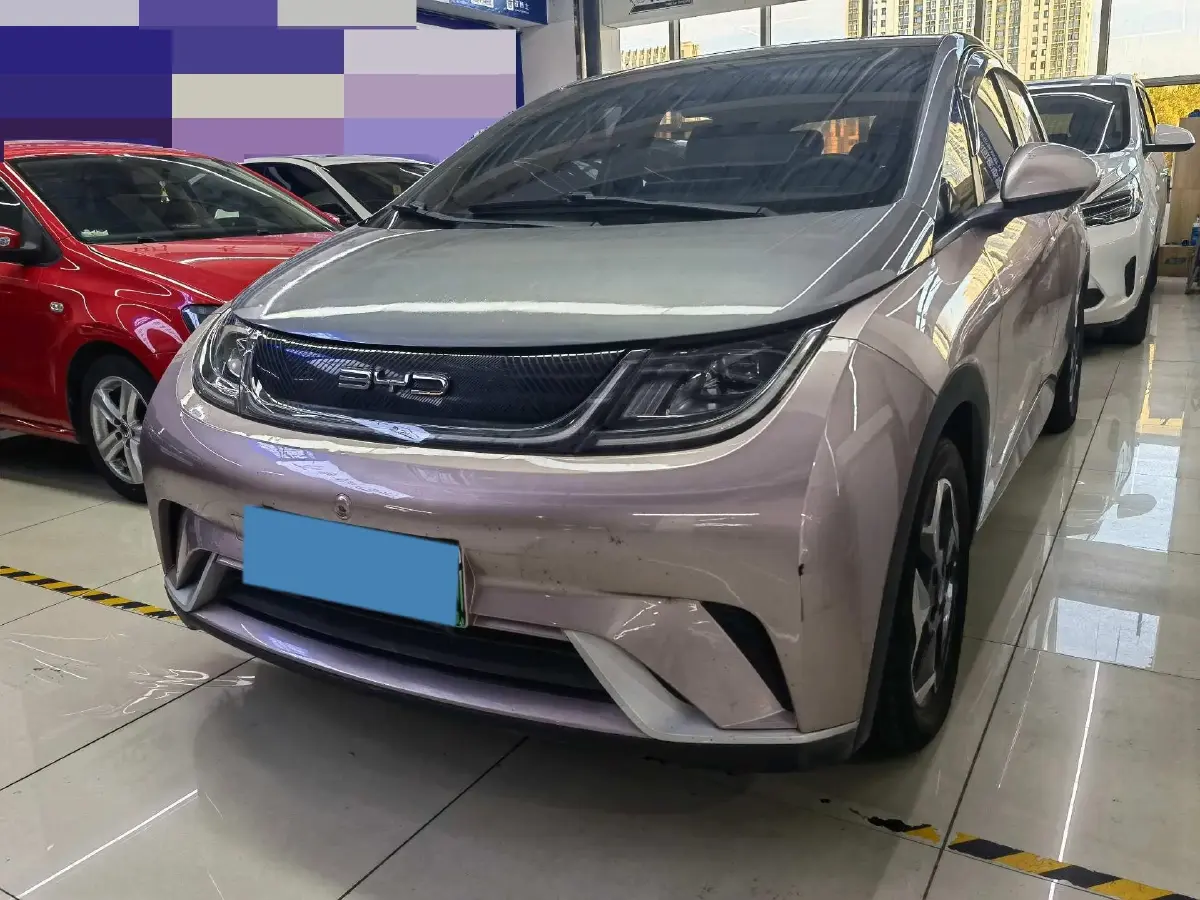 2021 BYD Dolphin BEV 44.9KWH