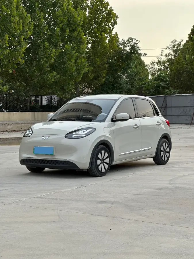 2023 WuLing BinGuo BEV 31.9KWH
