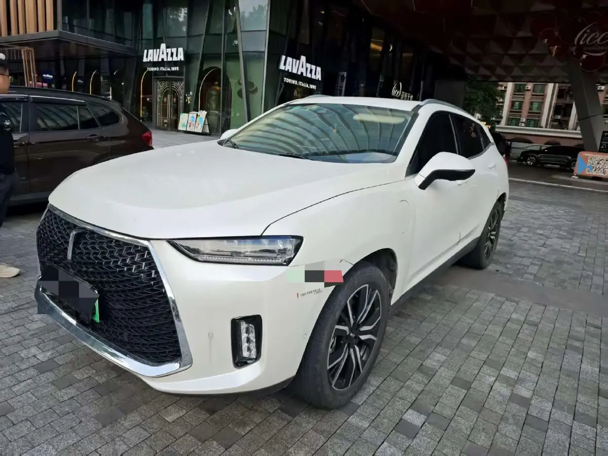 2018 WEY P8 2.0T 234HP L4 6DCT PHEV 12.96KWH