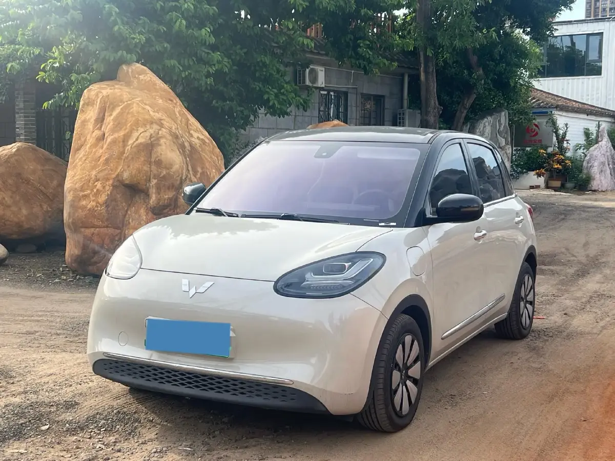 2023 WuLing BinGuo BEV 31.9KWH