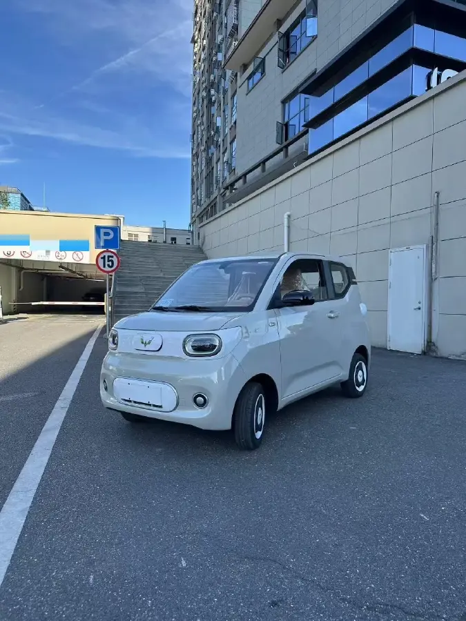 2025 WuLing BinGuo BEV
