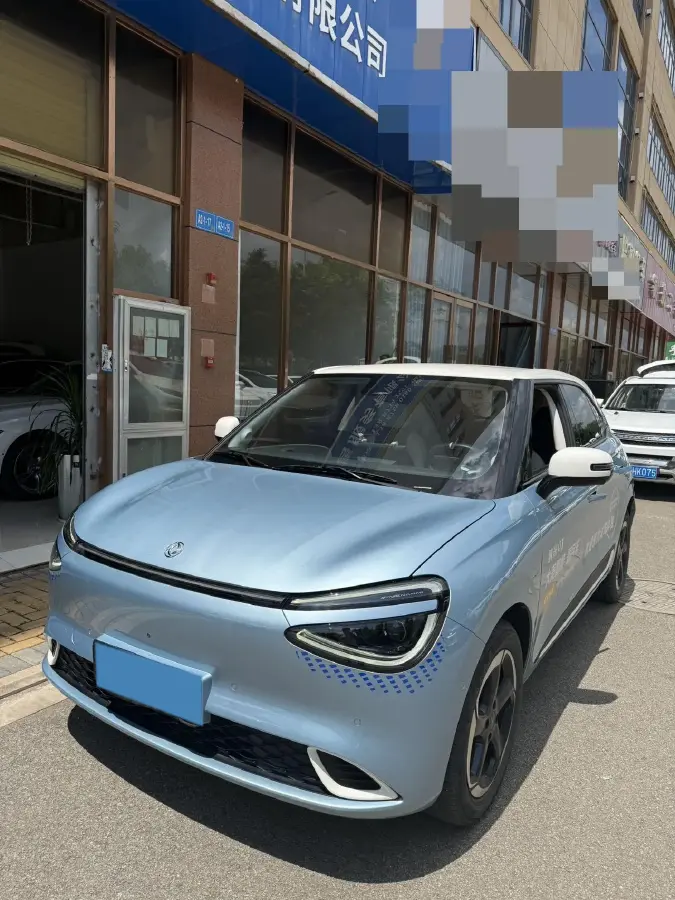 2024 DongFeng Nammi 01 BEV 42.3KWH