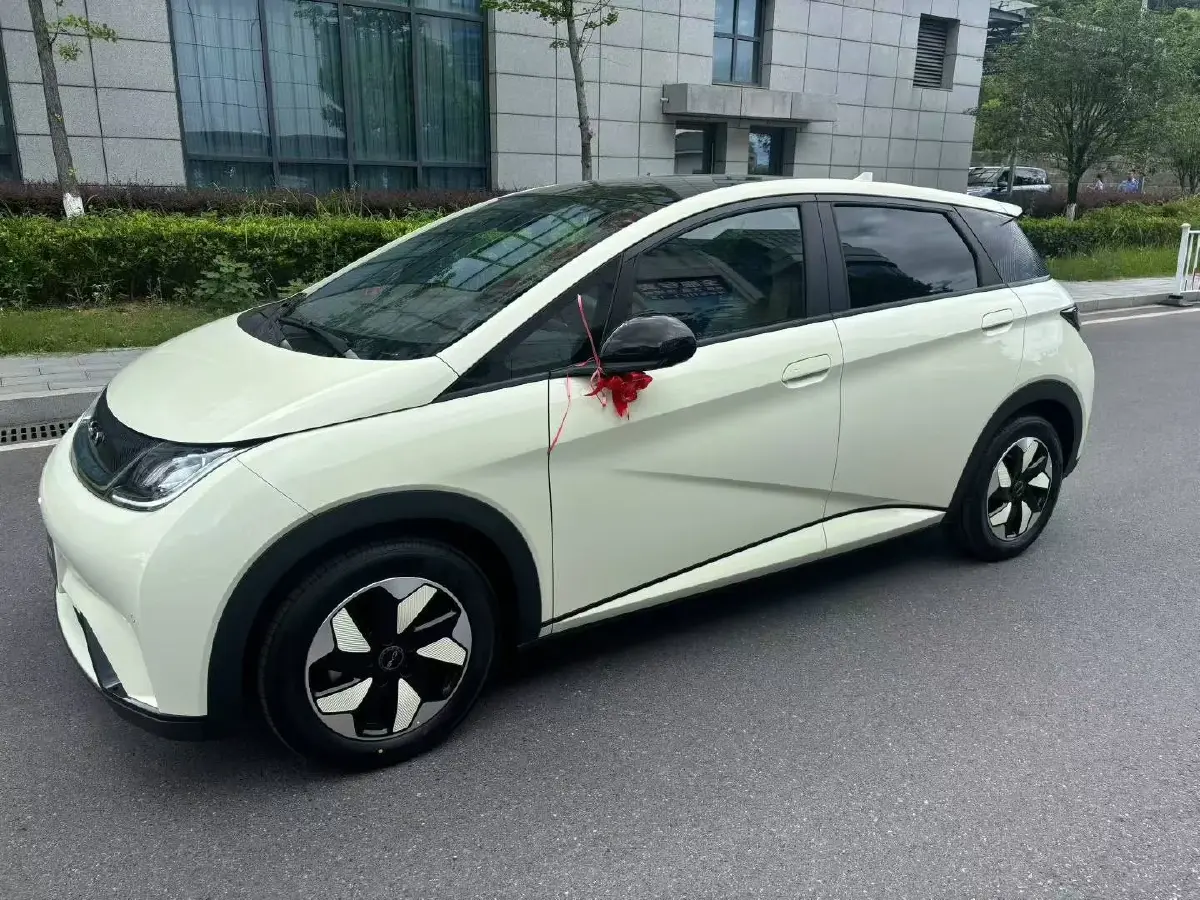 2024 BYD Dolphin BEV 44.928KWH