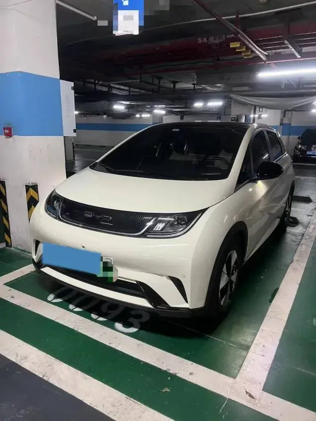 2023 BYD Dolphin BEV 44.928KWH
