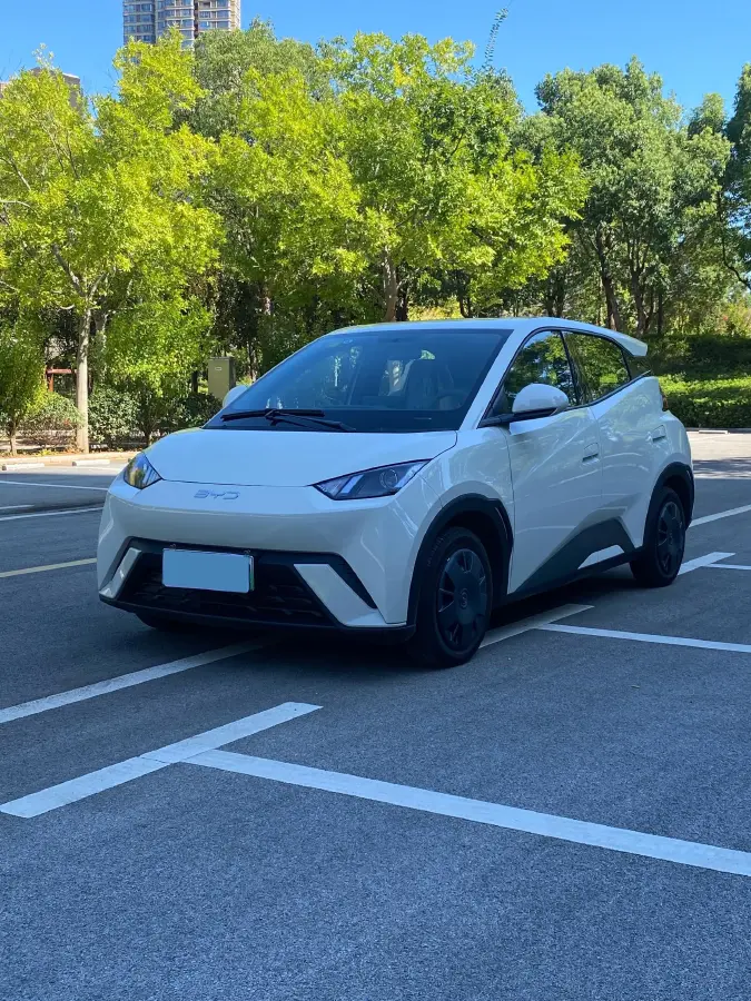2025 BYD Seagull BEV 30.08KWH