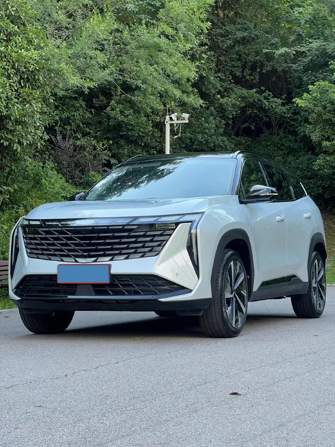 2024 Geely StarRay 1.5T 181HP L4 7DCT