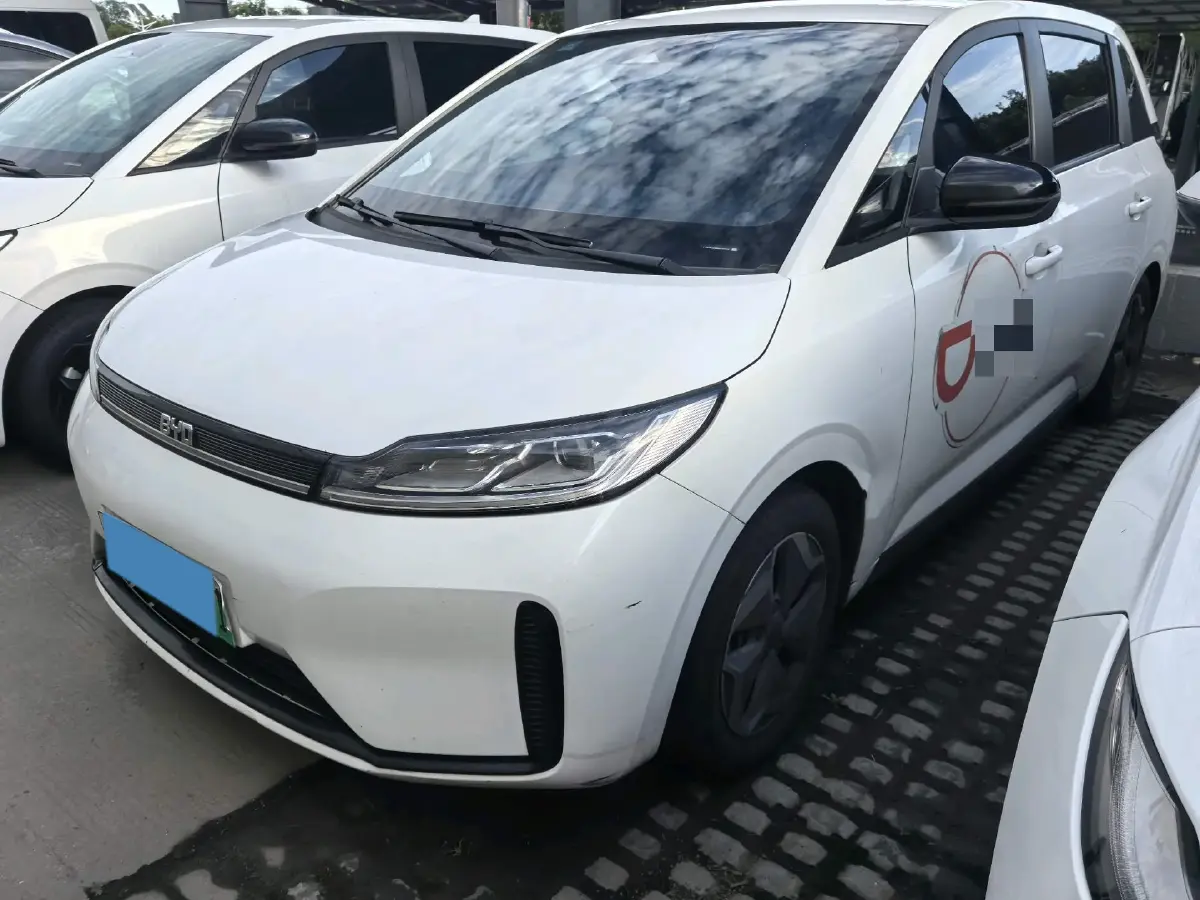 2021 BYD D1 BEV 53.6KWH