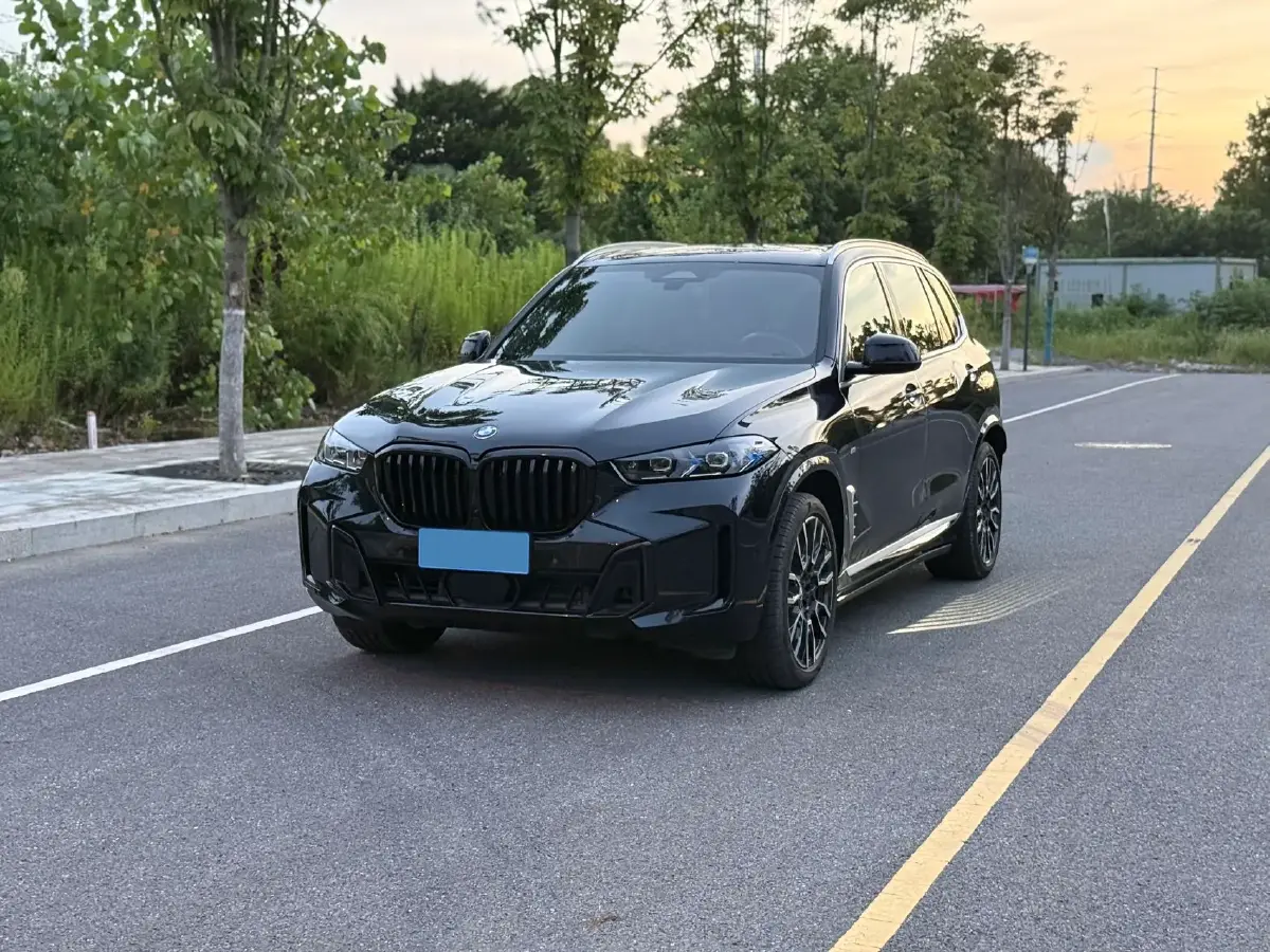 2024 BMW X5 3.0T 381HP L6 8AT