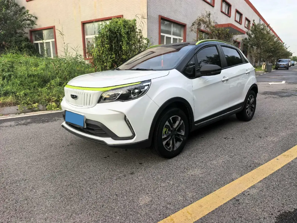 2021 Geometry EX3 BEV 37.23KWH