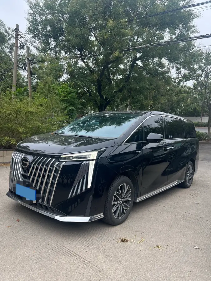 2024 GAC Trumpchi M8 2.0T 252HP L4 8AT