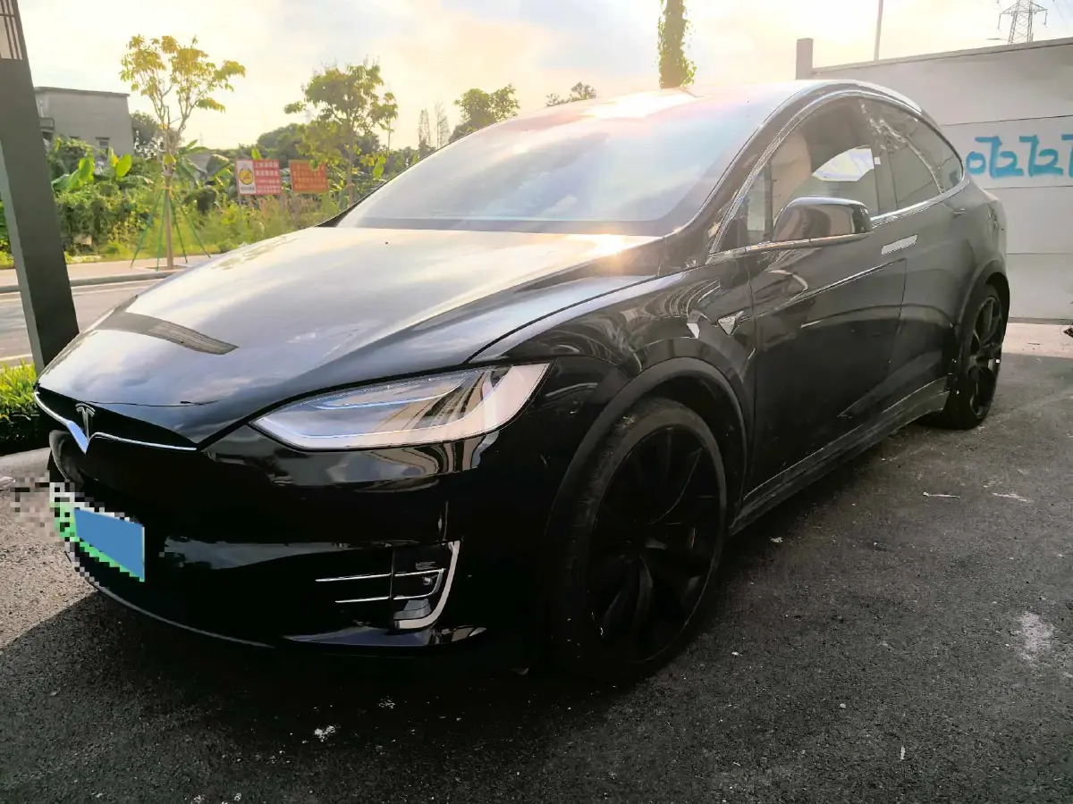 2019 Tesla Model X BEV 100KWH