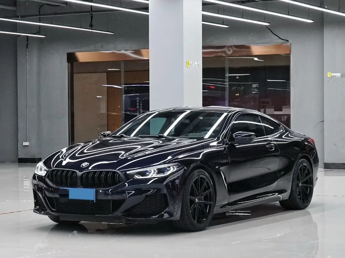 2019 BMW 8 Series 3.0T 340HP L6 8AT