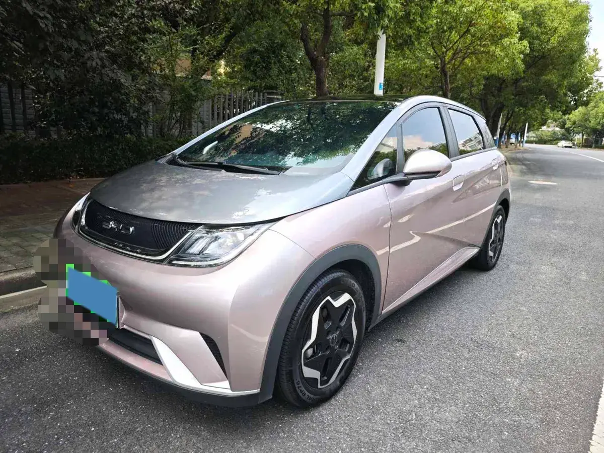 2021 BYD Dolphin BEV 44.9KWH