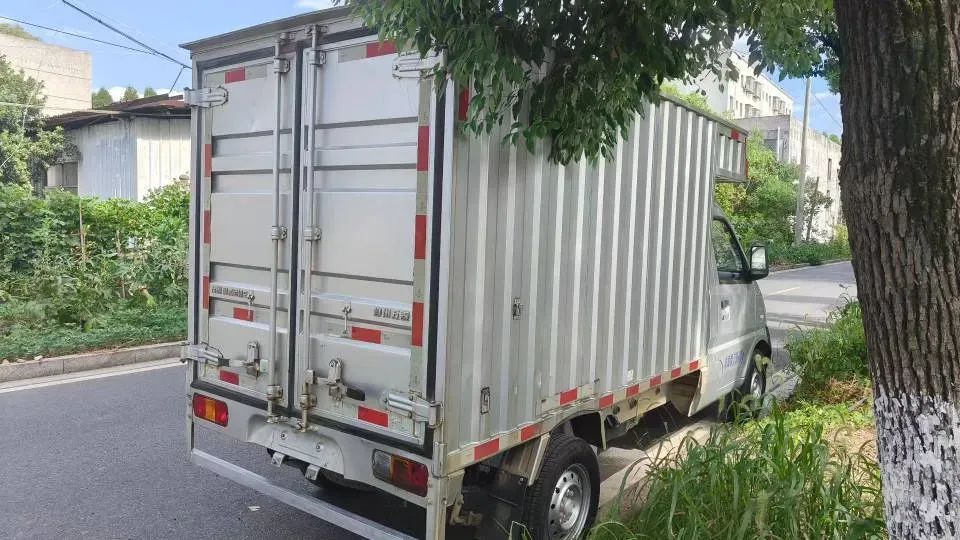 2020 WuLing RongGuang Mini Truck Special 1.5L 99HP L4 5MT,autocango,china used car exporter,china ev exporter,chinese used car exporter,chinese used ev exporter