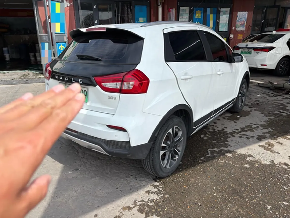 2020 Livan Maple 30X BEV 37KWH,autocango,china used car exporter,china ev exporter,chinese used car exporter,chinese used ev exporter