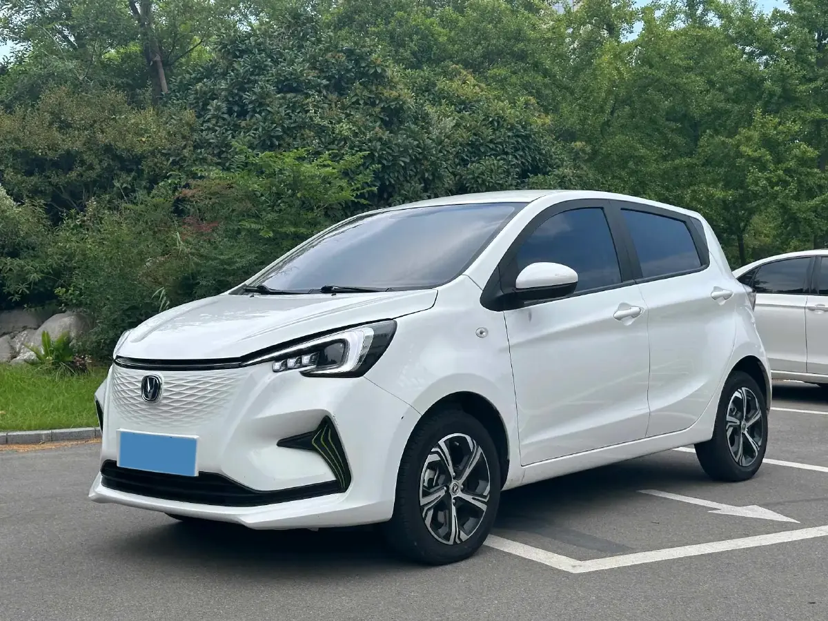 2023 ChangAn BenBen E-Star BEV 31.18KWH