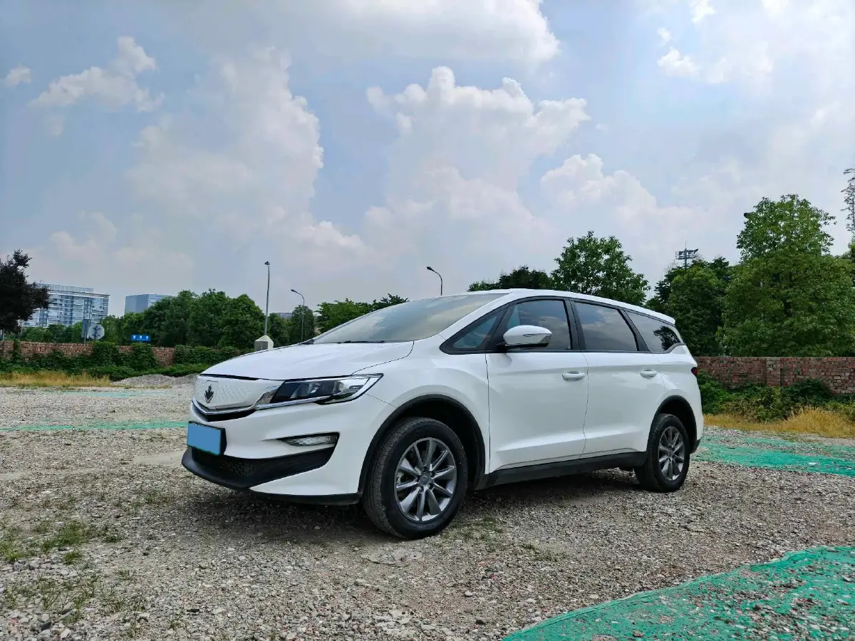 2021 Livan Maple 80v BEV 53KWH