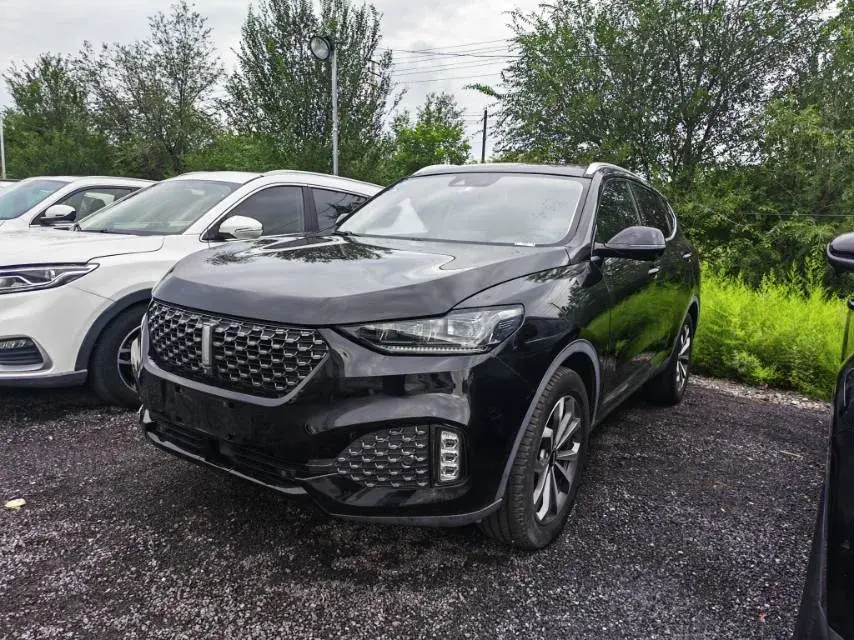 2020 WEY VV6 2.0T 227HP L4 7DCT