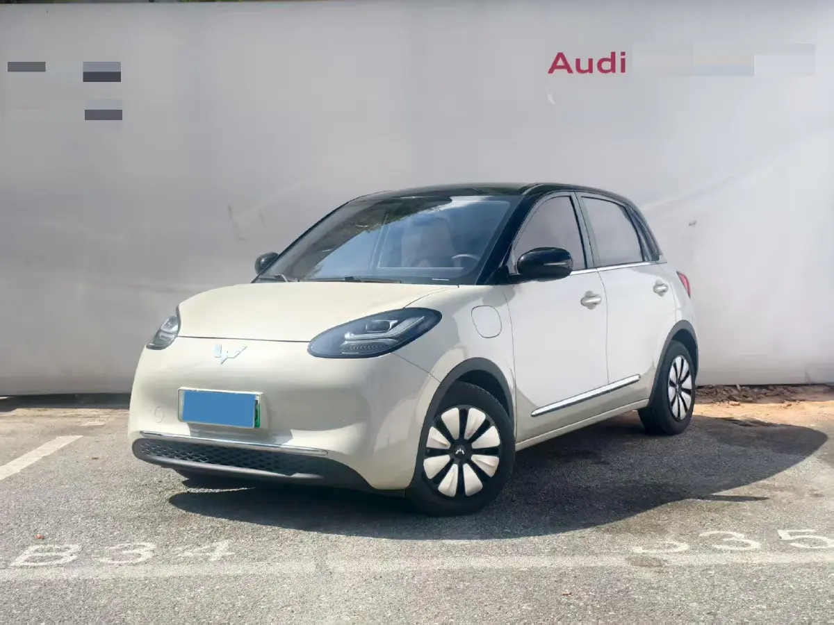 2023 WuLing BinGuo BEV 31.9KWH
