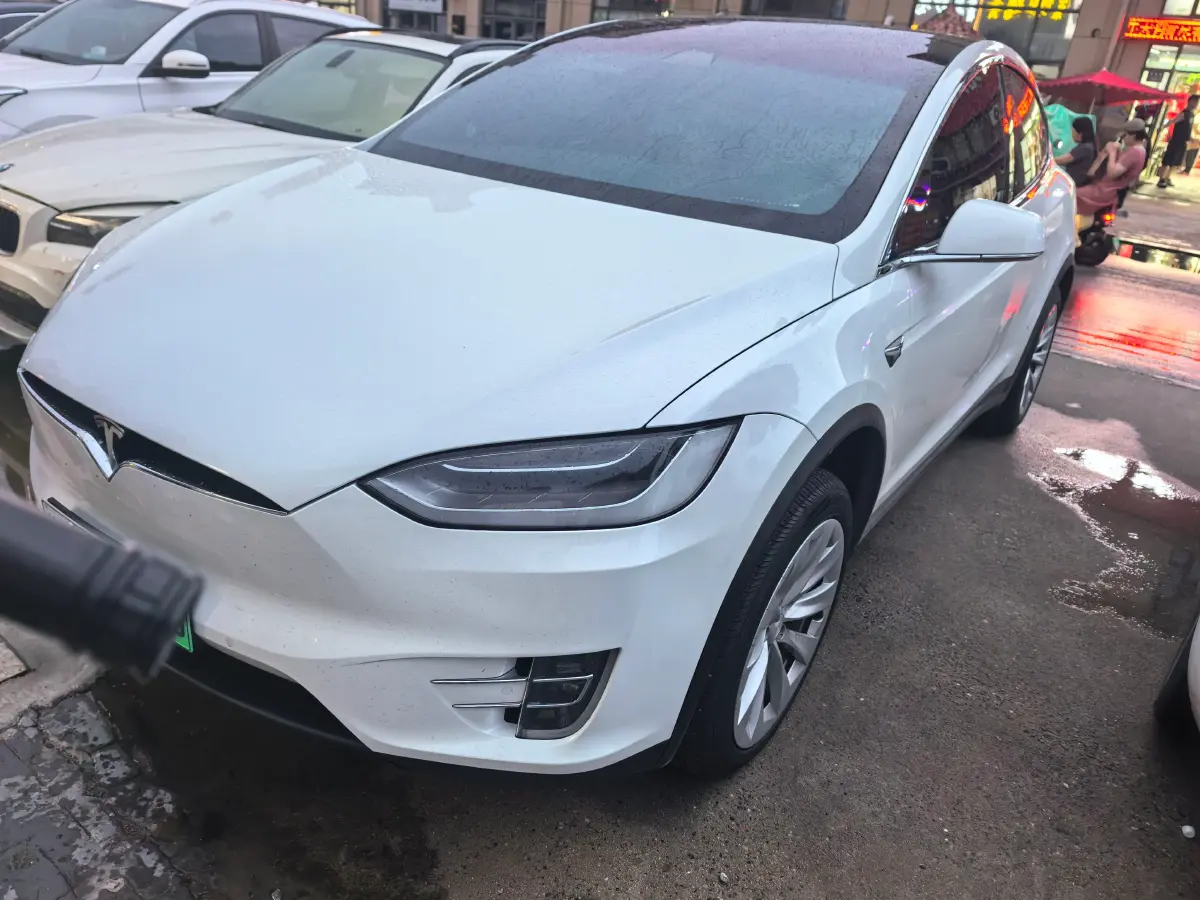 2019 Tesla Model X BEV 100KWH