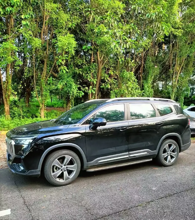 2023 Geely Okavango L 2.0T 218HP L4 7DCT