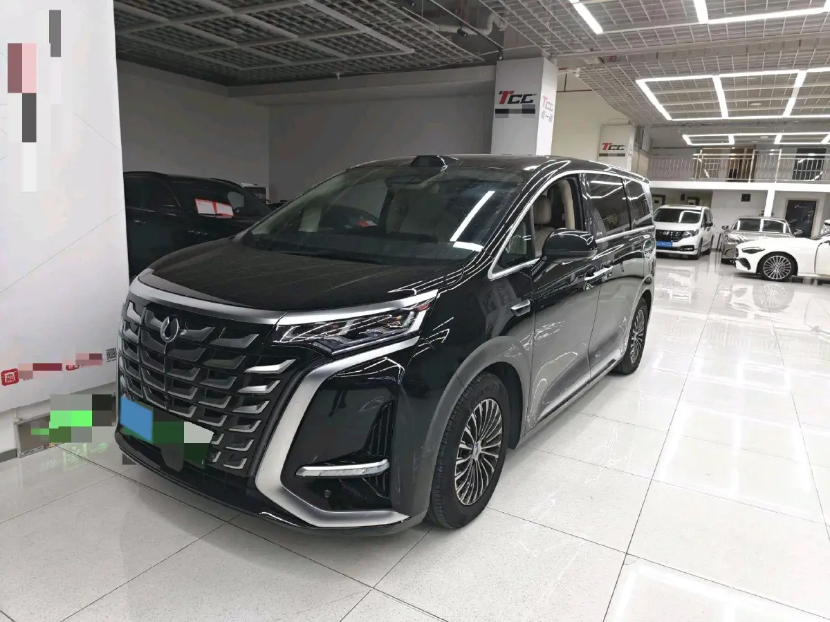 2025 Denza D9 1.5T 156HP L4 E-CVT PHEV 40KWH