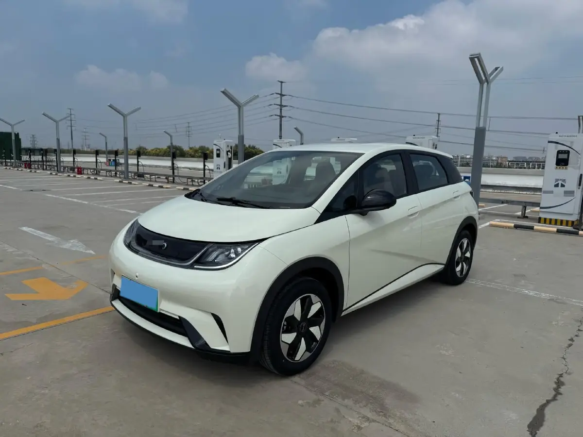2025 BYD Dolphin BEV 44.928KWH