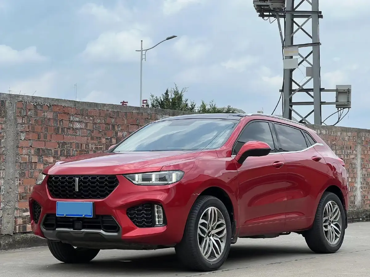 2019 WEY VV5 2.0T 224HP L4 7DCT