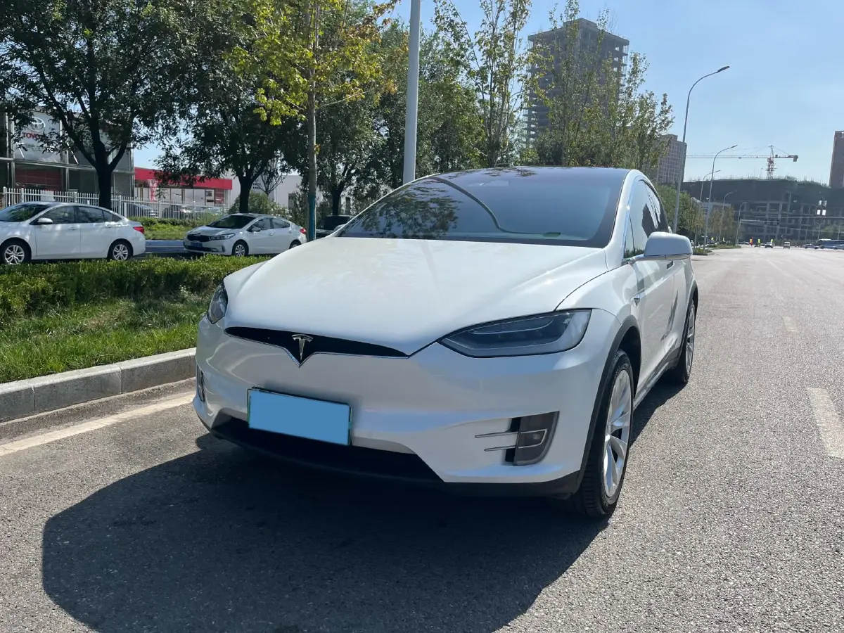 2019 Tesla Model X BEV 100KWH