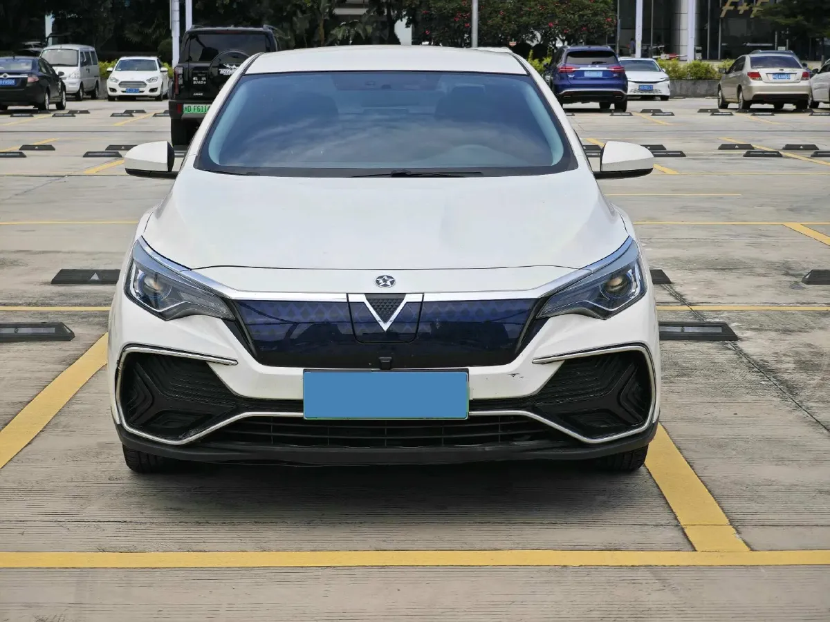 2020 Venucia D60 EV BEV 50KWH,autocango,china used car exporter,china ev exporter,chinese used car exporter,chinese used ev exporter