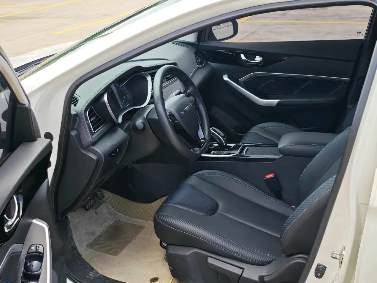 2020 Venucia D60 EV BEV 50KWH,autocango,china used car exporter,china ev exporter,chinese used car exporter,chinese used ev exporter