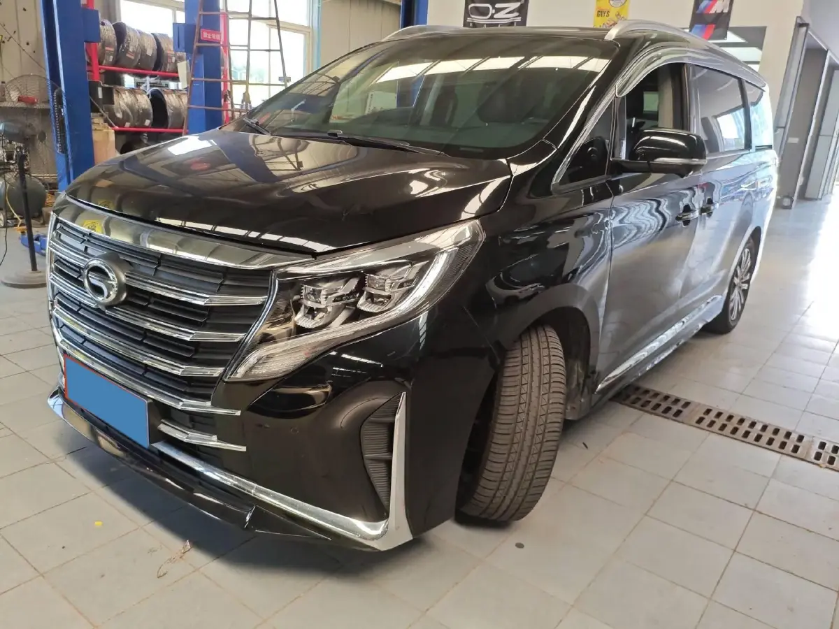2021 GAC Trumpchi M8 2.0T 252HP L4 8AT