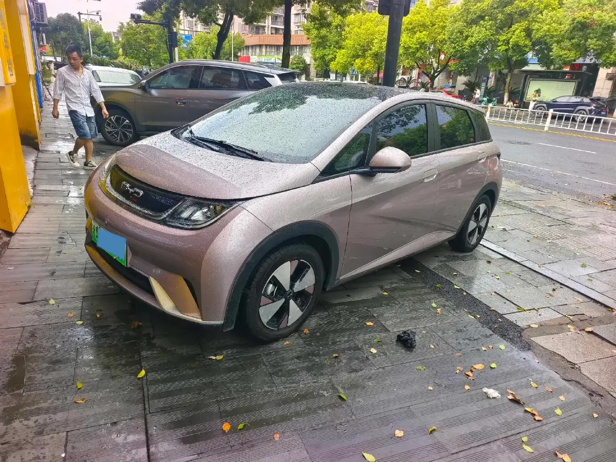 2023 BYD Dolphin BEV 44.928KWH