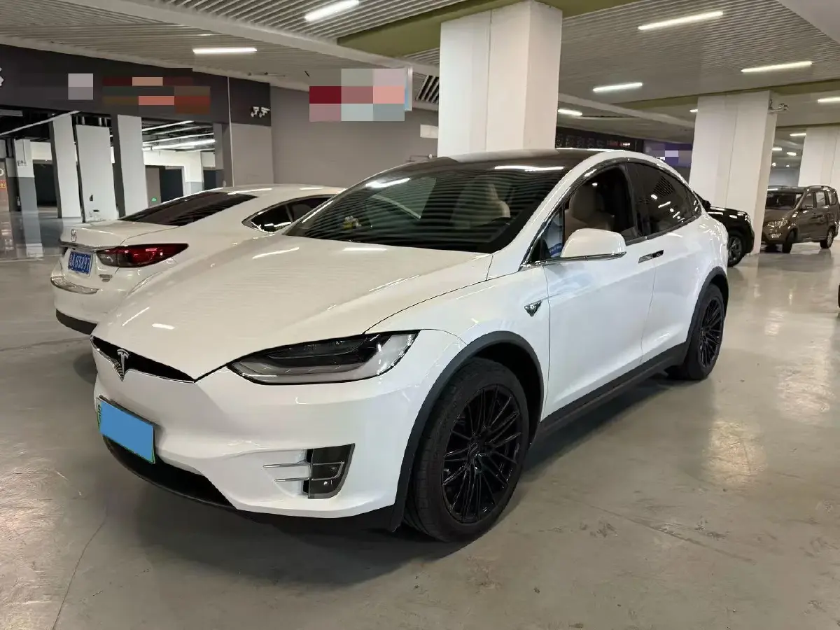 2019 Tesla Model X BEV 100KWH